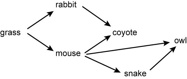 A food web is shown with six species. 